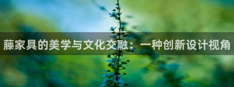 星欧娱乐app登录入口
