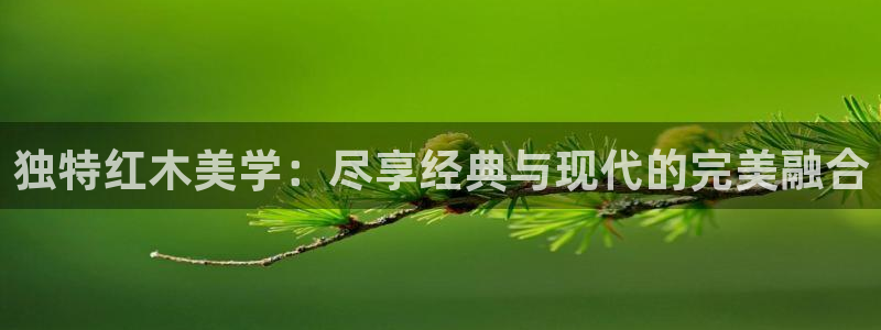 星欧娱乐改名后叫什么