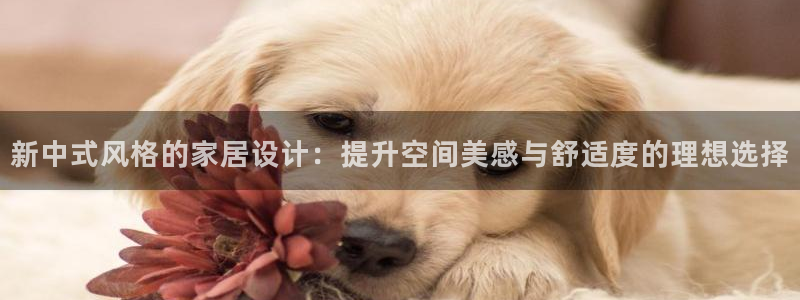 星欧娱乐登陆