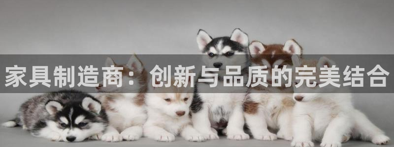 欧乐星城休闲娱乐：家具制造商：创新与品质的完美结合