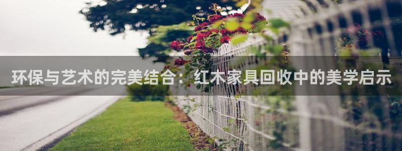 欧豪娱乐星天地采访：环保与艺术的完美结合：红木家具回收中的美