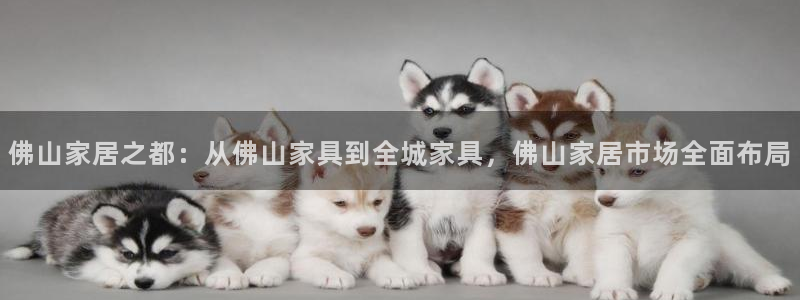 星欧娱乐的官方网站