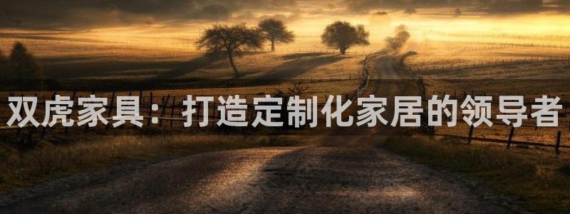 星欧娱乐：双虎家具：打造定制化家居的领导者