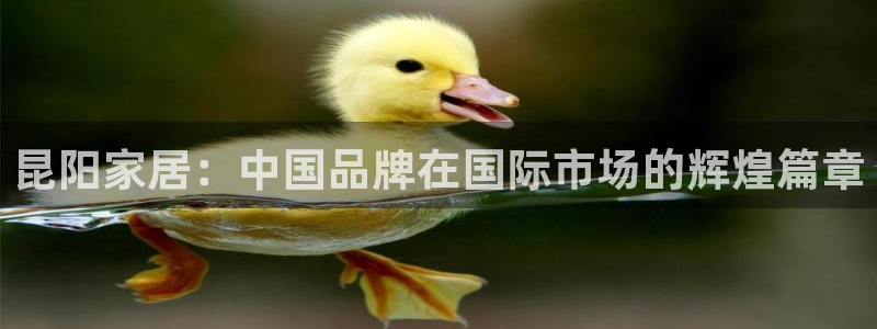 星欧娱乐扣费处理方法