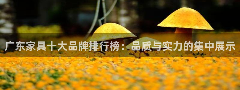 星欧娱乐平台电话