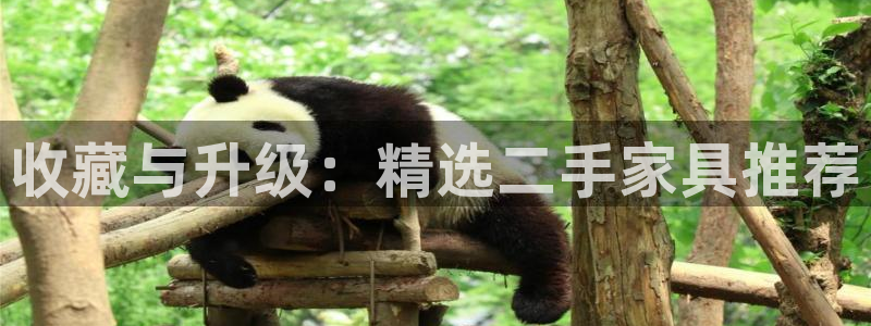 星欧娱乐经7O777