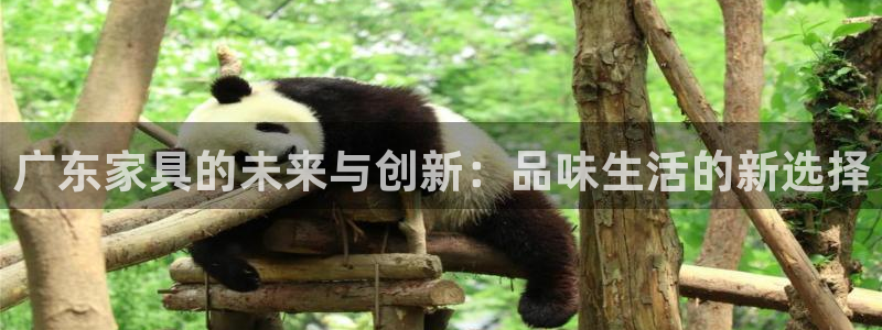 星欧娱乐娱乐是正规的吗