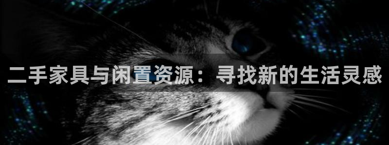 娱乐星天地马思纯欧豪