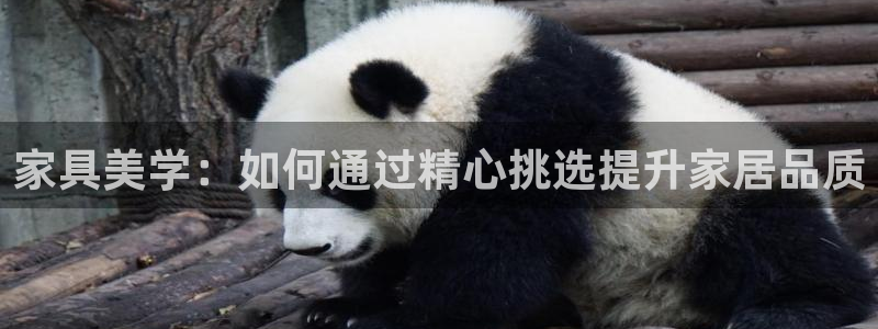 星欧娱乐平台是什么