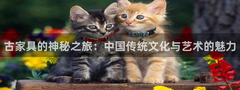 欧星娱乐备用网址：古家具的神秘之旅：中国传统文化与艺术的魅力