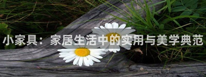 世欧星途娱乐