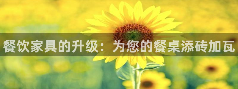 欧星娱乐公司