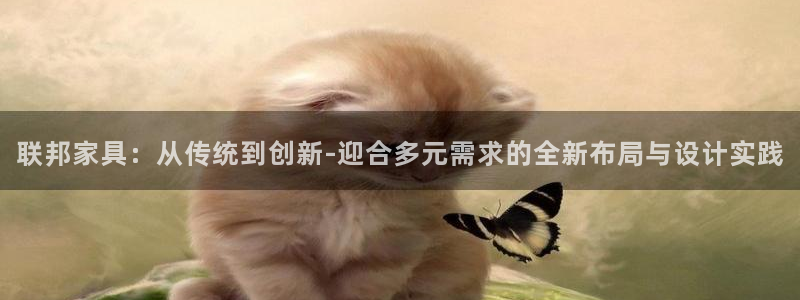 欧星娱乐08：联邦家具：从传统到创新-迎合多元需求的全新布局