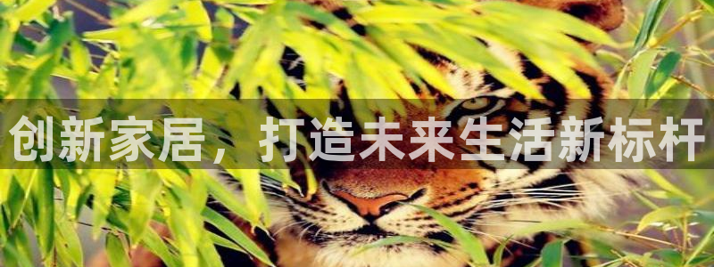 星欧娱乐注册资金多少