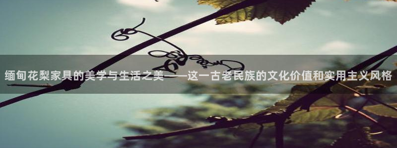 娱乐星扒客欧豪