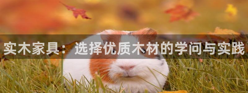 星欧娱乐改名后叫什么
