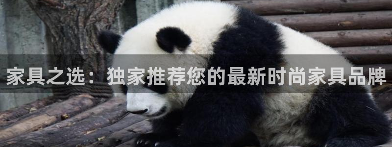 星欧娱乐平台注册入口