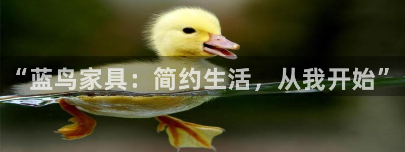欧星娱乐的真实性