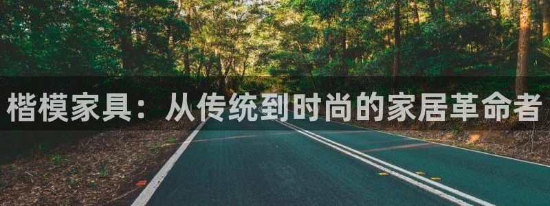 星辉娱乐欧联杯转播