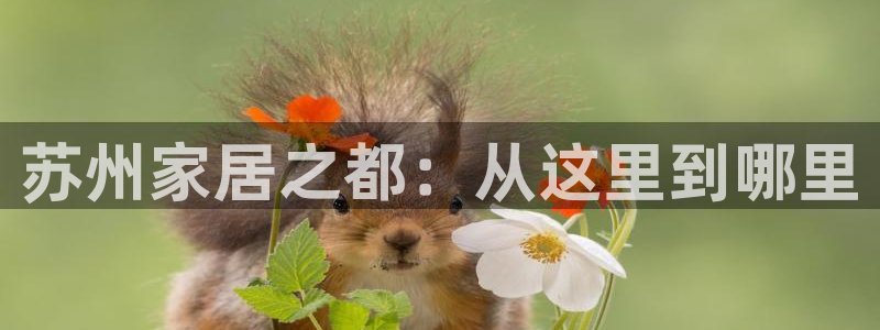 星欧娱乐扣钱是客服电话