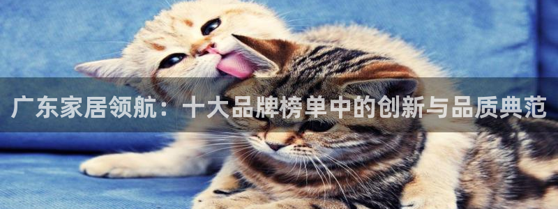星欧娱乐客服联系方式