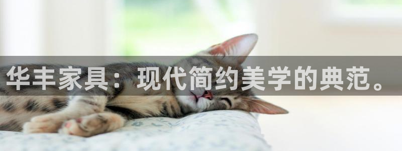 星饭娱乐欧豪