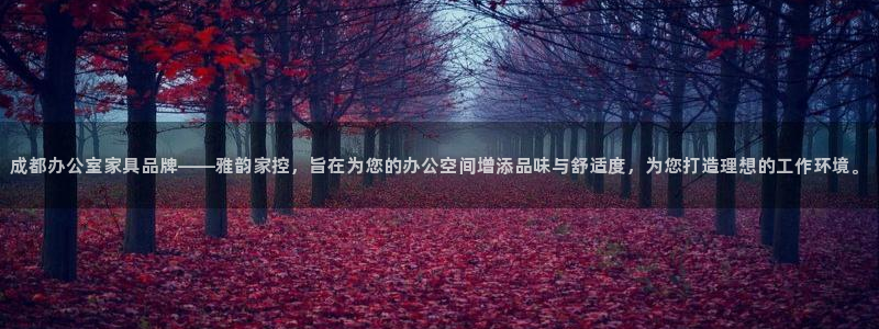 七星娱乐欧包
