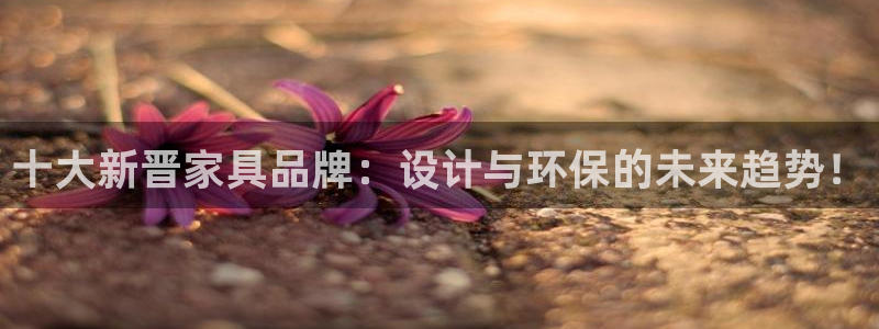 星欧娱乐用户登录中心