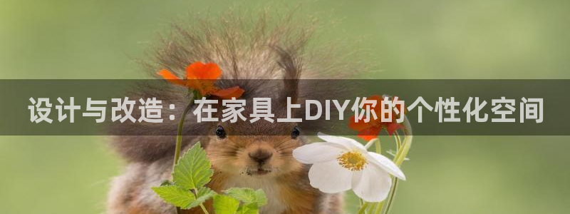 七星娱乐欧尼酱