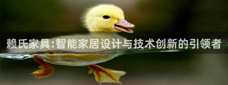 星欧娱乐是正规品牌吗