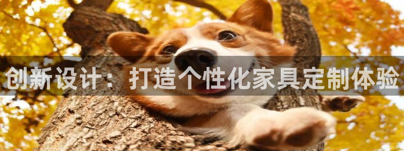 欧星娱乐网络娱乐