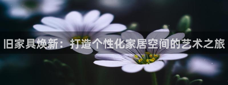 星欧娱乐注册40046