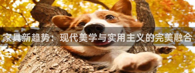 欧星娱乐的活动