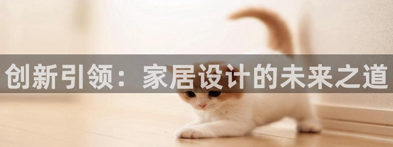 星娱乐online欧弟
