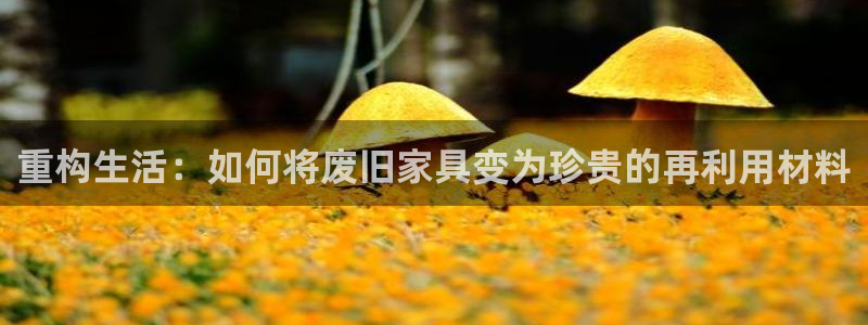 欧星娱乐网址接受