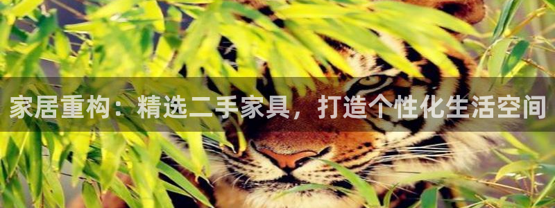 欧星娱乐 菲律宾
