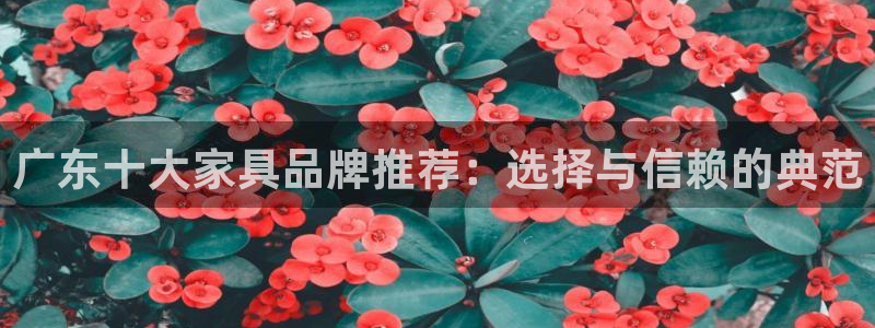 星辉娱乐进入欧联杯