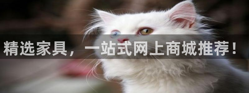 七星娱乐欧尼酱