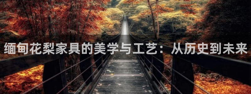星欧娱乐公司电话号码