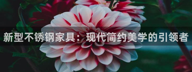 星欧娱乐客服电话