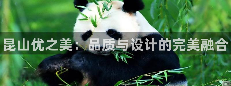 欧乐星城儿童娱乐