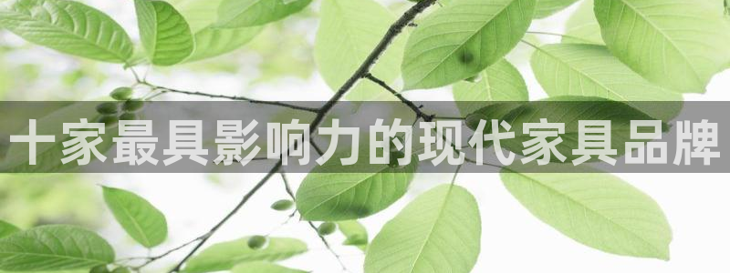 武汉欧汇星娱乐有限公司