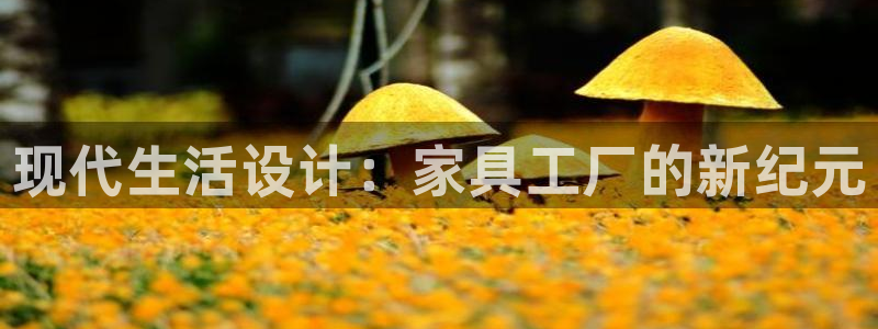 欧星娱乐棋牌官网
