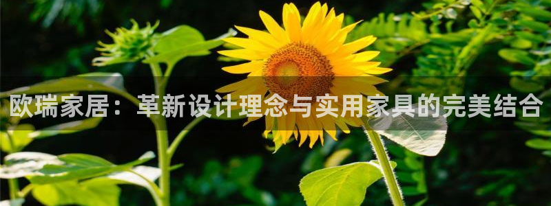 星辉娱乐欧联杯转播