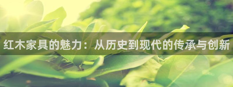 七星娱乐欧尼酱