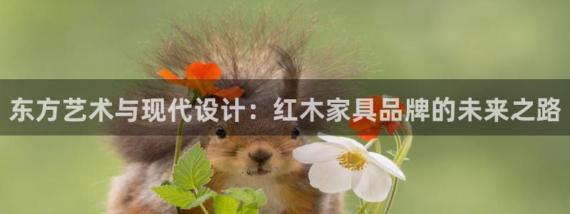 星娱乐online欧弟