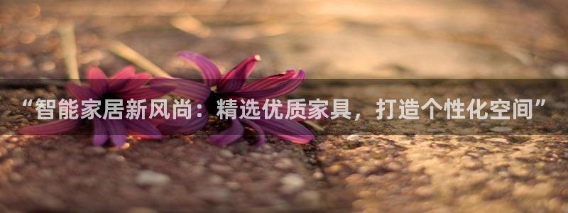 星欧娱乐公司
