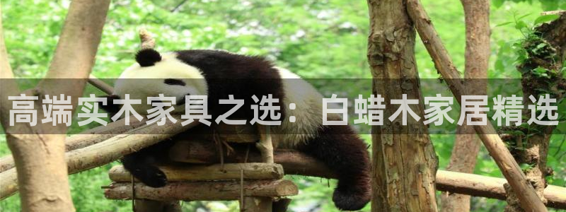 星欧娱乐官网登录