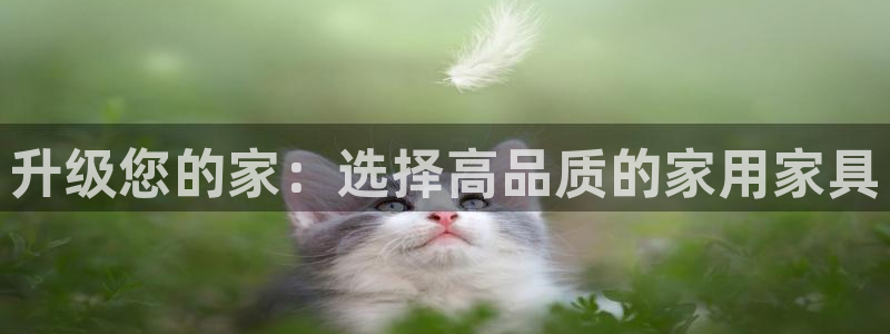 欧星娱乐网址无脑赚