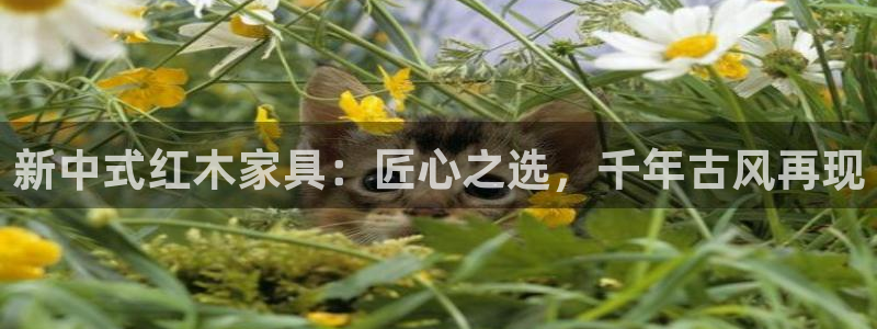 星欧娱乐登录网页版登录